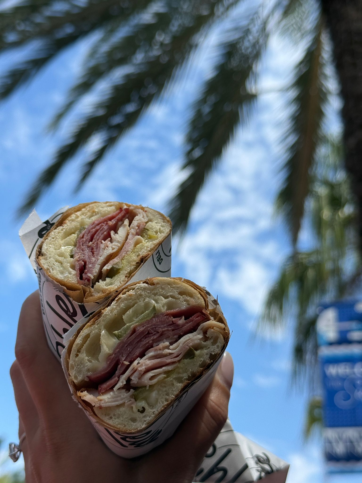 Sandwich under a palm tree in Dubai